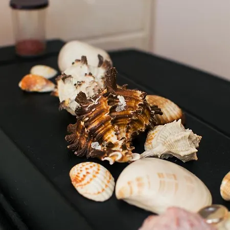 Aleksija Apartman Ni